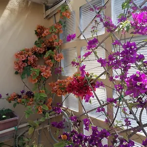  Bed & Breakfast Claudia Italia